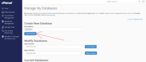 How to Create a MySQL Database in cPanel