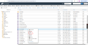 How to Edit a File Using cPanel File Manager