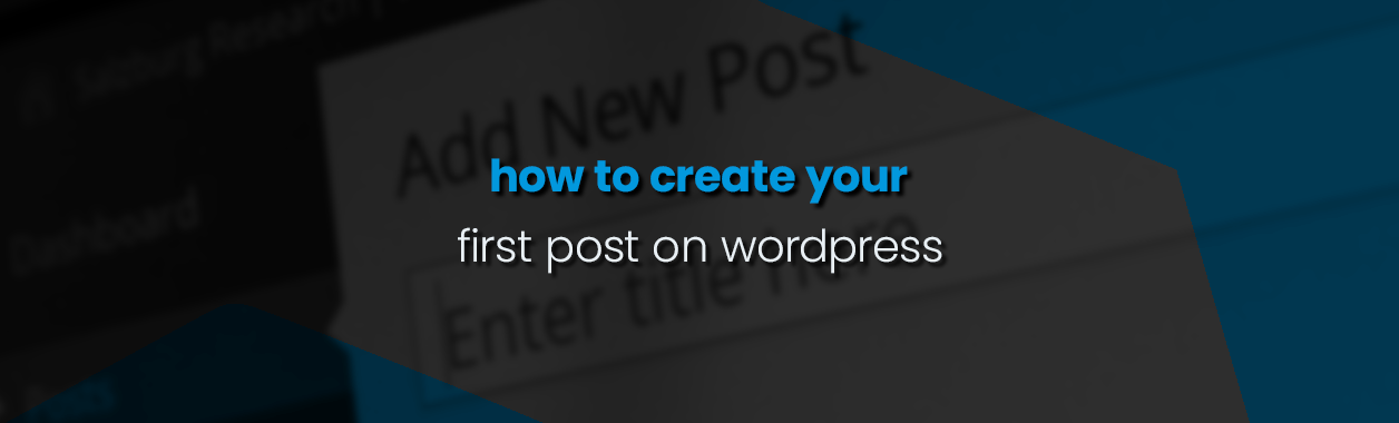 How to Write and Publish Your First Blog Post in WordPress