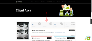 How to add DNS Record from Cpanel