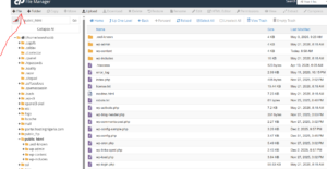 How to Create a New Folder or File in cPanel File Manager