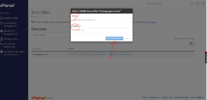 How to Add a CNAME Record in cPanel