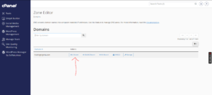 How to Add an A Record in cPanel