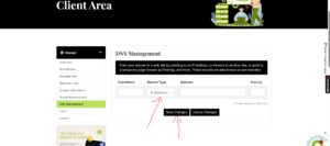How to add DNS Record from Cpanel