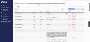 How to Edit or Remove an A Record in cPanel