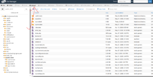 How to Upload Files Using cPanel File Manager