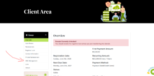 How to add DNS Record from Cpanel