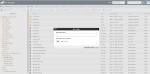 How to Create a New Folder or File in cPanel File Manager