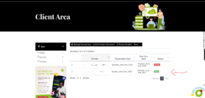 How to add DNS Record from Cpanel