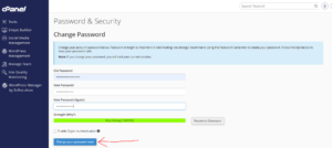 How to Reset Your cPanel Account Password