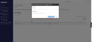 How to Add an MX Record in cPanel